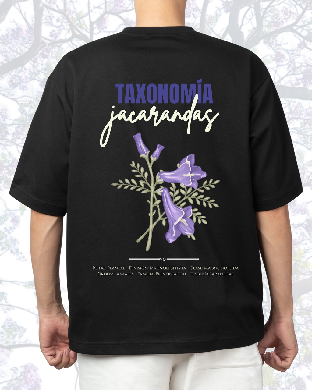 Taxonomía: Jacaranda
